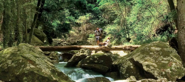 The Great Walks Bus Transfer Sunshine Coast Hinterland