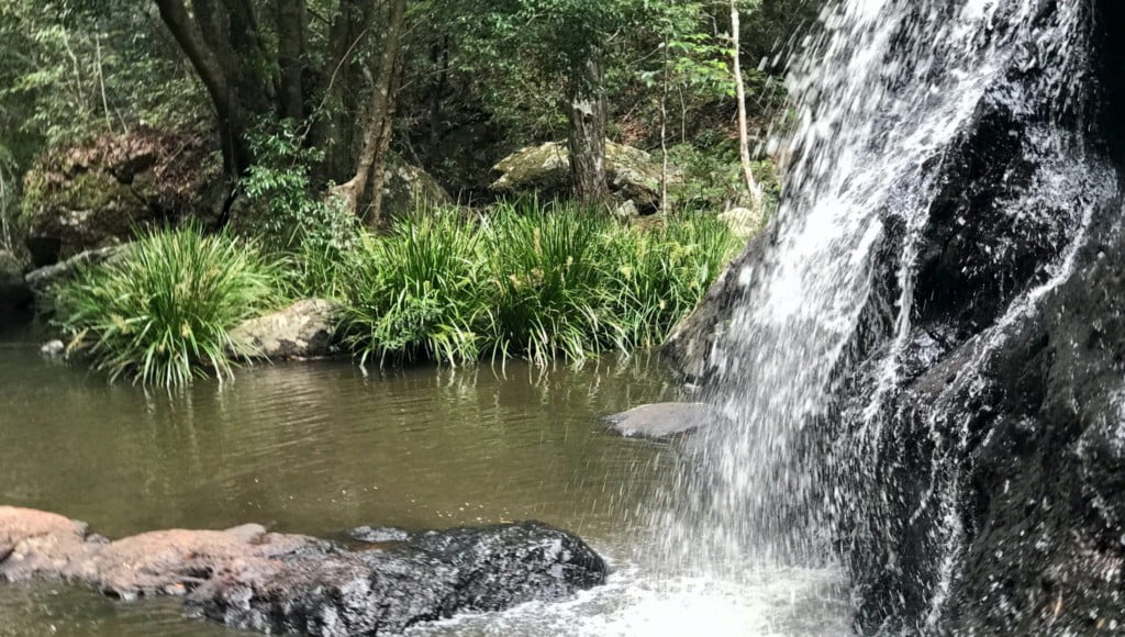 The Great Walks Bus Transfer Sunshine Coast Hinterland