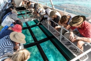 Glass-Bottom-Boat-10-Lady-Musgrave-Experience-Great-Barrier-Reef-1030x686