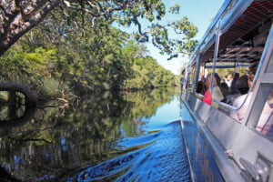 Everglades Eco Cruise Safari, Mystic Mountain Tours